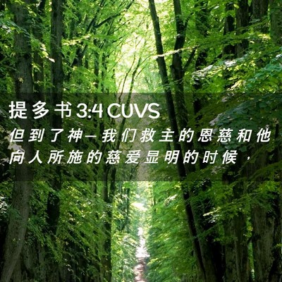 Picture 02 - 提 多 书 3:4 CUVS - 但 到 了 神 ─ 我 们 救 主 的 恩 慈 - Bible Verse Picture