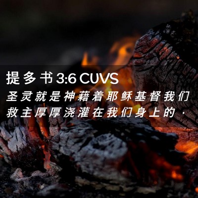 Picture 02 - 提 多 书 3:6 CUVS - 圣 灵 就 是 神 藉 着 耶 稣 基 督 我 - Bible Verse Picture