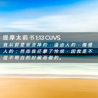 Picture 02 - 提 摩 太 前 书 1:13 CUVS - 我 从 前 是 亵 渎 神 的 ， 逼 迫 人 - Bible Verse Picture