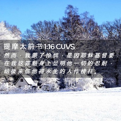 Picture 02 - 提 摩 太 前 书 1:16 CUVS - 然 而 ， 我 蒙 了 怜 悯 ， 是 因 耶 - Bible Verse Picture