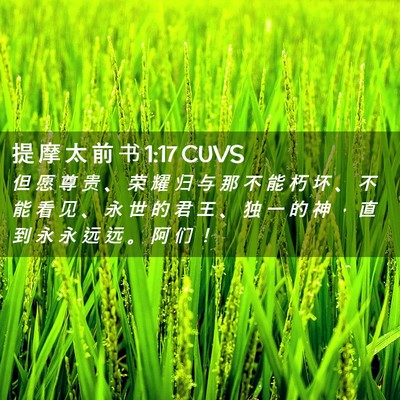 Picture 02 - 提 摩 太 前 书 1:17 CUVS - 但 愿 尊 贵 、 荣 耀 归 与 那 不 能 - Bible Verse Picture