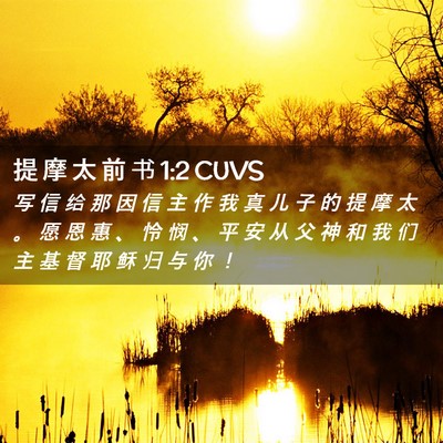 Picture 02 - 提 摩 太 前 书 1:2 CUVS - 写 信 给 那 因 信 主 作 我 真 儿 子 - Bible Verse Picture