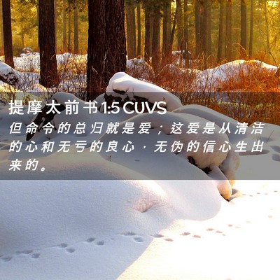Picture 02 - 提 摩 太 前 书 1:5 CUVS - 但 命 令 的 总 归 就 是 爱 ； 这 爱 - Bible Verse Picture