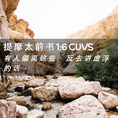 Picture 02 - 提 摩 太 前 书 1:6 CUVS - 有 人 偏 离 这 些 ， 反 去 讲 虚 浮 - Bible Verse Picture