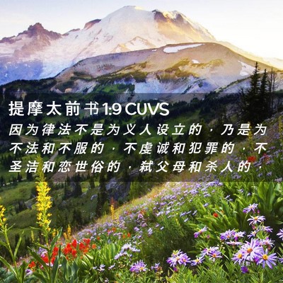 Picture 02 - 提 摩 太 前 书 1:9 CUVS - 因 为 律 法 不 是 为 义 人 设 立 的 - Bible Verse Picture