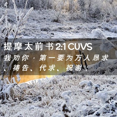 Picture 02 - 提 摩 太 前 书 2:1 CUVS - 我 劝 你 ， 第 一 要 为 万 人 恳 求 - Bible Verse Picture