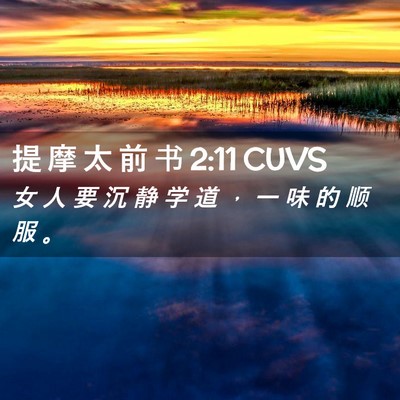 Picture 02 - 提 摩 太 前 书 2:11 CUVS - 女 人 要 沉 静 学 道 ， 一 味 的 顺 - Bible Verse Picture