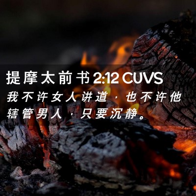 Picture 02 - 提 摩 太 前 书 2:12 CUVS - 我 不 许 女 人 讲 道 ， 也 不 许 他 - Bible Verse Picture