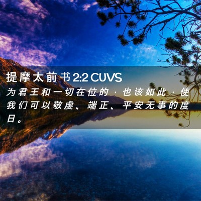 Picture 02 - 提 摩 太 前 书 2:2 CUVS - 为 君 王 和 一 切 在 位 的 ， 也 该 - Bible Verse Picture