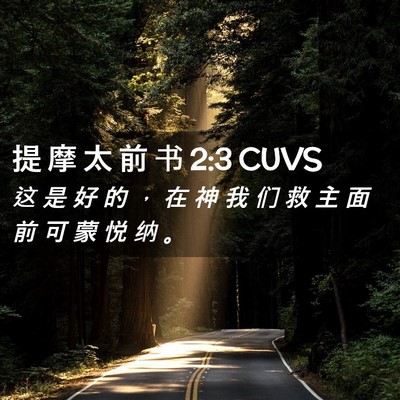 Picture 02 - 提 摩 太 前 书 2:3 CUVS - 这 是 好 的 ， 在 神 我 们 救 主 面 - Bible Verse Picture