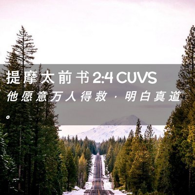 Picture 02 - 提 摩 太 前 书 2:4 CUVS - 他 愿 意 万 人 得 救 ， 明 白 真 道 - Bible Verse Picture