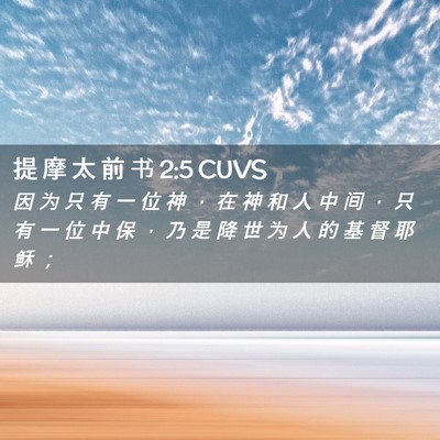 Picture 02 - 提 摩 太 前 书 2:5 CUVS - 因 为 只 有 一 位 神 ， 在 神 和 人 - Bible Verse Picture