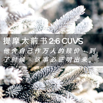 Picture 02 - 提 摩 太 前 书 2:6 CUVS - 他 舍 自 己 作 万 人 的 赎 价 ， 到 - Bible Verse Picture