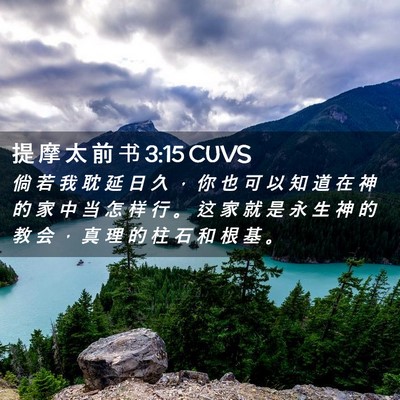 Picture 02 - 提 摩 太 前 书 3:15 CUVS - 倘 若 我 耽 延 日 久 ， 你 也 可 以 - Bible Verse Picture