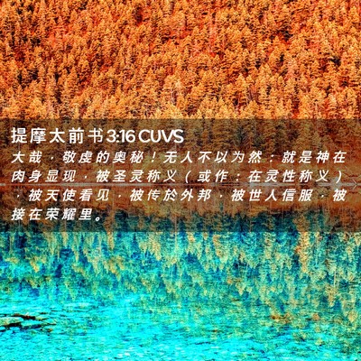 Picture 02 - 提 摩 太 前 书 3:16 CUVS - 大 哉 ， 敬 虔 的 奥 秘 ！ 无 人 不 - Bible Verse Picture