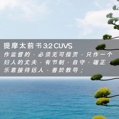 Picture 02 - 提 摩 太 前 书 3:2 CUVS - 作 监 督 的 ， 必 须 无 可 指 责 ， - Bible Verse Picture