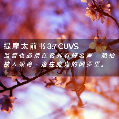 Picture 02 - 提 摩 太 前 书 3:7 CUVS - 监 督 也 必 须 在 教 外 有 好 名 声 - Bible Verse Picture