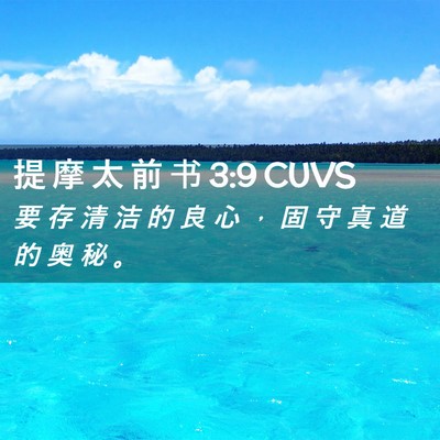 Picture 02 - 提 摩 太 前 书 3:9 CUVS - 要 存 清 洁 的 良 心 ， 固 守 真 道 - Bible Verse Picture