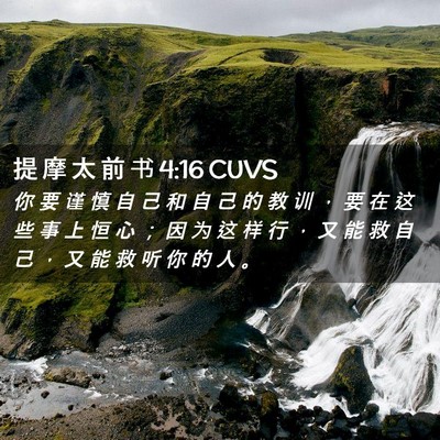 Picture 02 - 提 摩 太 前 书 4:16 CUVS - 你 要 谨 慎 自 己 和 自 己 的 教 训 - Bible Verse Picture