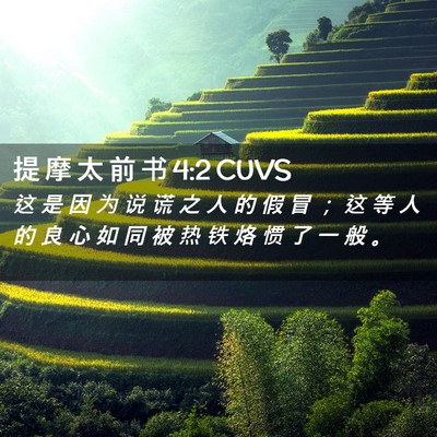 Picture 02 - 提 摩 太 前 书 4:2 CUVS - 这 是 因 为 说 谎 之 人 的 假 冒 ； - Bible Verse Picture