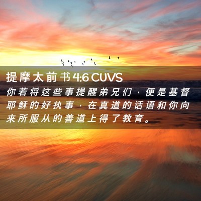 Picture 02 - 提 摩 太 前 书 4:6 CUVS - 你 若 将 这 些 事 提 醒 弟 兄 们 ， - Bible Verse Picture