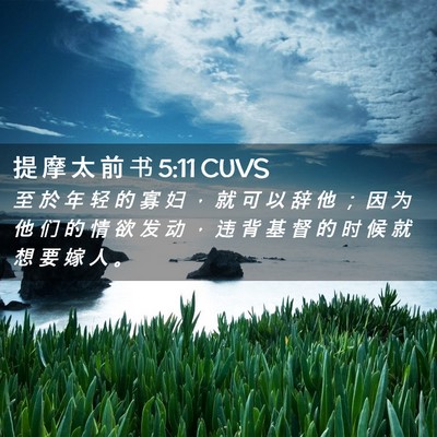 Picture 02 - 提 摩 太 前 书 5:11 CUVS - 至 於 年 轻 的 寡 妇 ， 就 可 以 辞 - Bible Verse Picture