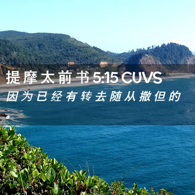 Picture 02 - 提 摩 太 前 书 5:15 CUVS - 因 为 已 经 有 转 去 随 从 撒 但 的 - Bible Verse Picture