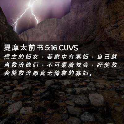 Picture 02 - 提 摩 太 前 书 5:16 CUVS - 信 主 的 妇 女 ， 若 家 中 有 寡 妇 - Bible Verse Picture