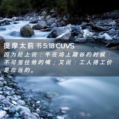 Picture 02 - 提 摩 太 前 书 5:18 CUVS - 因 为 经 上 说 ： 牛 在 场 上 踹 谷 - Bible Verse Picture