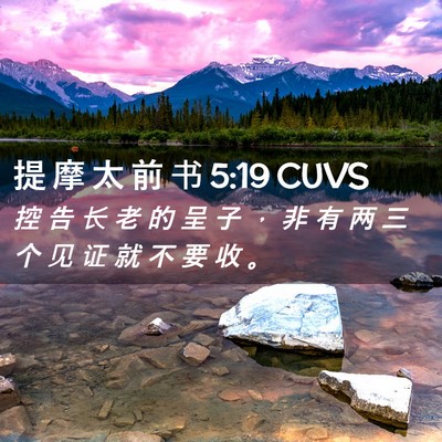 Picture 02 - 提 摩 太 前 书 5:19 CUVS - 控 告 长 老 的 呈 子 ， 非 有 两 三 - Bible Verse Picture