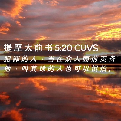 Picture 02 - 提 摩 太 前 书 5:20 CUVS - 犯 罪 的 人 ， 当 在 众 人 面 前 责 - Bible Verse Picture
