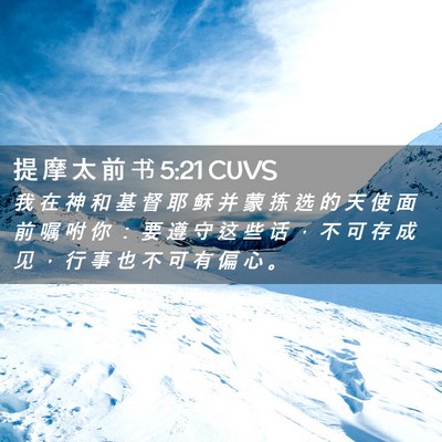 Picture 02 - 提 摩 太 前 书 5:21 CUVS - 我 在 神 和 基 督 耶 稣 并 蒙 拣 选 - Bible Verse Picture