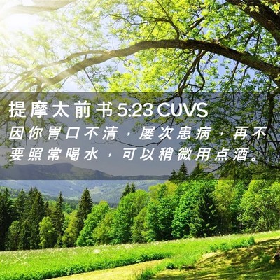 Picture 02 - 提 摩 太 前 书 5:23 CUVS - 因 你 胃 口 不 清 ， 屡 次 患 病 ， - Bible Verse Picture