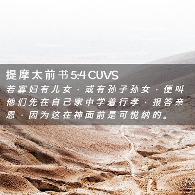 Picture 02 - 提 摩 太 前 书 5:4 CUVS - 若 寡 妇 有 儿 女 ， 或 有 孙 子 孙 - Bible Verse Picture