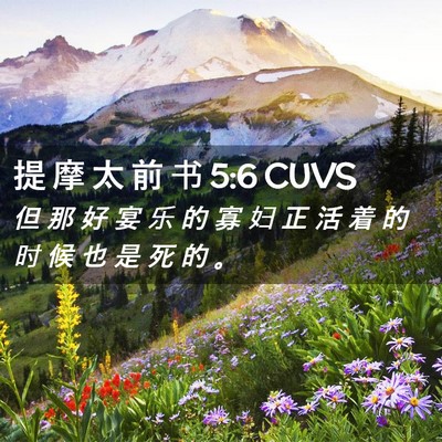 Picture 02 - 提 摩 太 前 书 5:6 CUVS - 但 那 好 宴 乐 的 寡 妇 正 活 着 的 - Bible Verse Picture