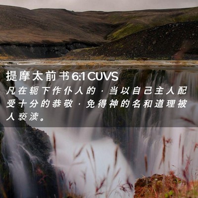 Picture 02 - 提 摩 太 前 书 6:1 CUVS - 凡 在 轭 下 作 仆 人 的 ， 当 以 自 - Bible Verse Picture