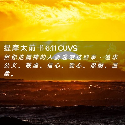 Picture 02 - 提 摩 太 前 书 6:11 CUVS - 但 你 这 属 神 的 人 要 逃 避 这 些 - Bible Verse Picture