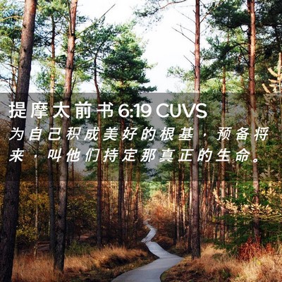 Picture 02 - 提 摩 太 前 书 6:19 CUVS - 为 自 己 积 成 美 好 的 根 基 ， 预 - Bible Verse Picture