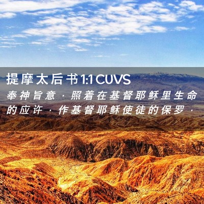 Picture 02 - 提 摩 太 后 书 1:1 CUVS - 奉 神 旨 意 ， 照 着 在 基 督 耶 稣 - Bible Verse Picture