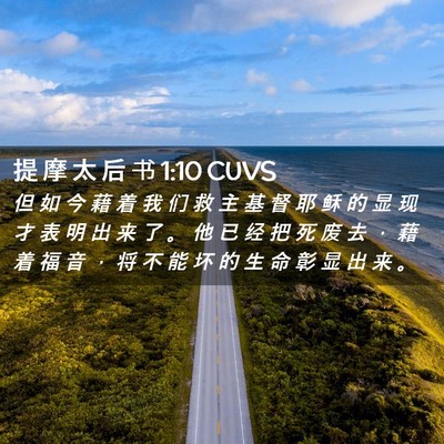 Picture 02 - 提 摩 太 后 书 1:10 CUVS - 但 如 今 藉 着 我 们 救 主 基 督 耶 - Bible Verse Picture