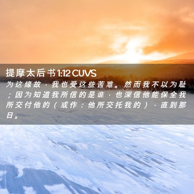 Picture 02 - 提 摩 太 后 书 1:12 CUVS - 为 这 缘 故 ， 我 也 受 这 些 苦 难 - Bible Verse Picture