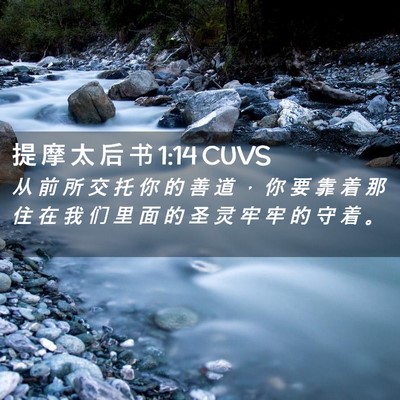 Picture 02 - 提 摩 太 后 书 1:14 CUVS - 从 前 所 交 托 你 的 善 道 ， 你 要 - Bible Verse Picture