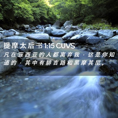 Picture 02 - 提 摩 太 后 书 1:15 CUVS - 凡 在 亚 西 亚 的 人 都 离 弃 我 ， - Bible Verse Picture