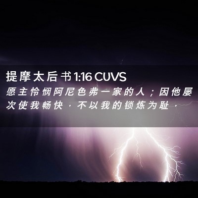 Picture 02 - 提 摩 太 后 书 1:16 CUVS - 愿 主 怜 悯 阿 尼 色 弗 一 家 的 人 - Bible Verse Picture