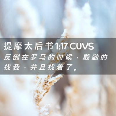 Picture 02 - 提 摩 太 后 书 1:17 CUVS - 反 倒 在 罗 马 的 时 候 ， 殷 勤 的 - Bible Verse Picture