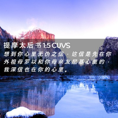 Picture 02 - 提 摩 太 后 书 1:5 CUVS - 想 到 你 心 里 无 伪 之 信 ， 这 信 - Bible Verse Picture