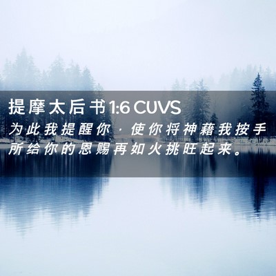 Picture 02 - 提 摩 太 后 书 1:6 CUVS - 为 此 我 提 醒 你 ， 使 你 将 神 藉 - Bible Verse Picture