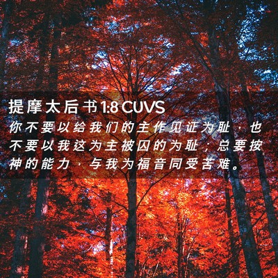 Picture 02 - 提 摩 太 后 书 1:8 CUVS - 你 不 要 以 给 我 们 的 主 作 见 证 - Bible Verse Picture