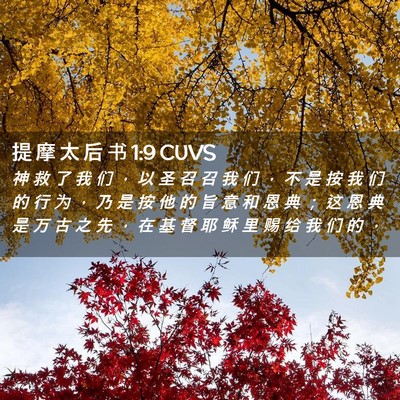 Picture 02 - 提 摩 太 后 书 1:9 CUVS - 神 救 了 我 们 ， 以 圣 召 召 我 们 - Bible Verse Picture