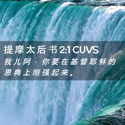 Picture 02 - 提 摩 太 后 书 2:1 CUVS - 我 儿 阿 ， 你 要 在 基 督 耶 稣 的 - Bible Verse Picture